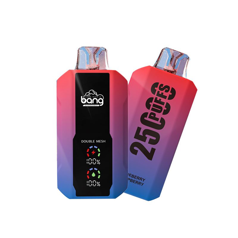 bang 25000-10 bang vape 25000 Puffs 25k E-cigarette-10PCS/1 box
