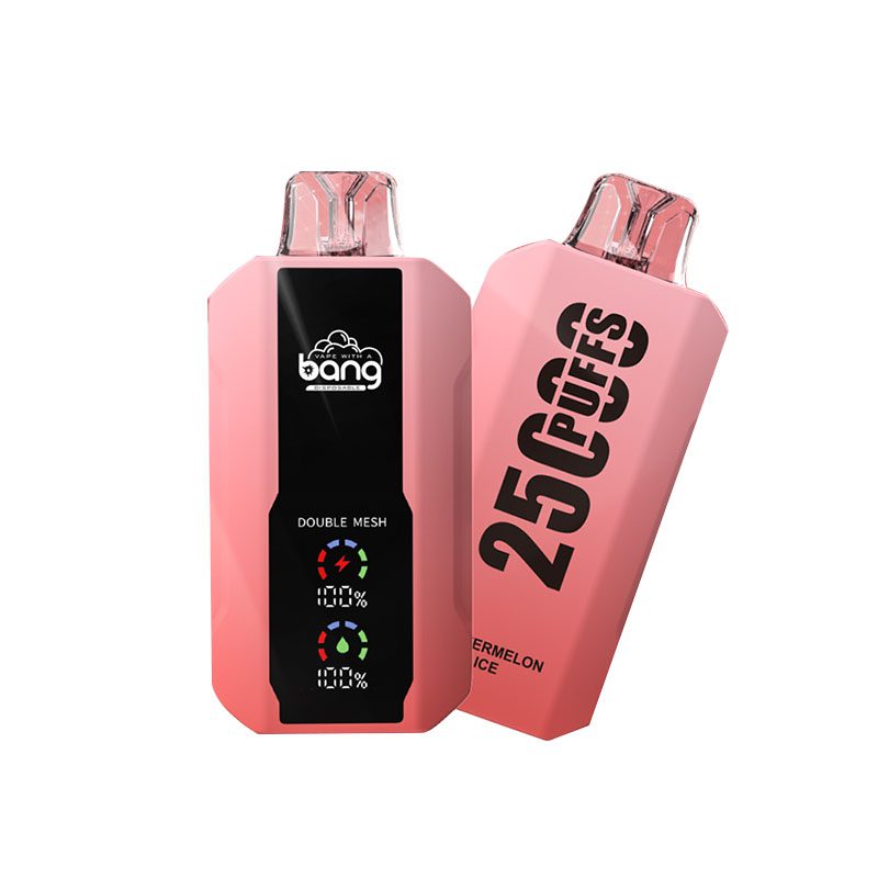 bang 25000-11 bang vape 25000 Puffs 25k E-cigarette-10PCS/1 box
