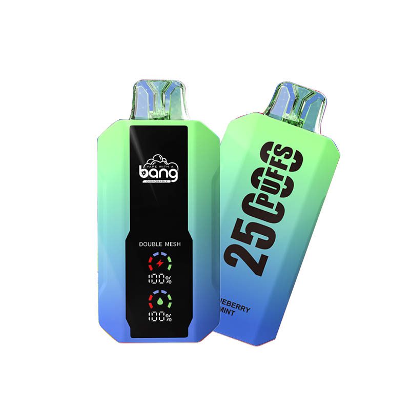 bang 25000-5 bang vape 25000 Puffs 25k E-cigarette-10PCS/1 box