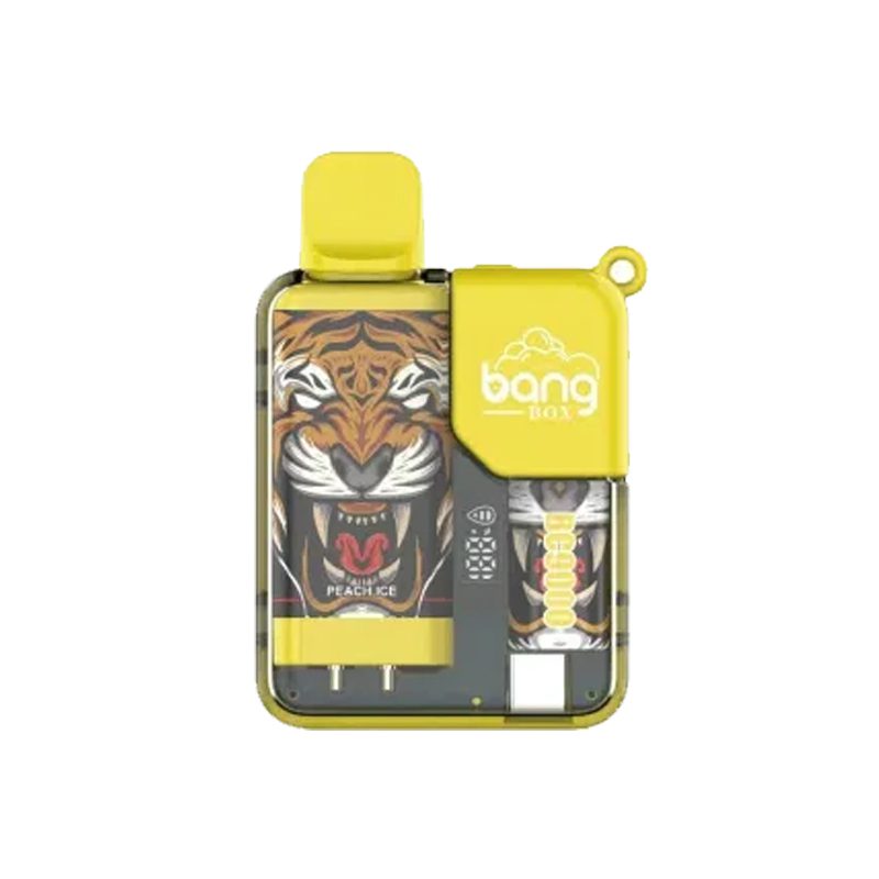 bang 9000-6 bang vape BC 9000 puff 9k E-cigarette-10PCS/1 box