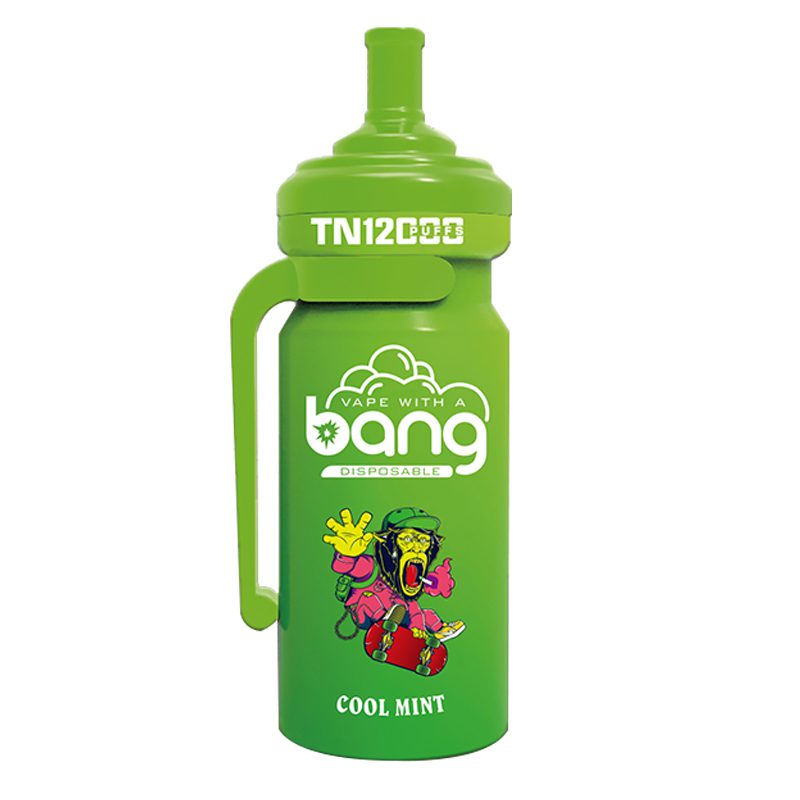 bang NT 12000-11 Vape Bang NT 12000 puff 12K E-cigarette-10PCS/1 box
