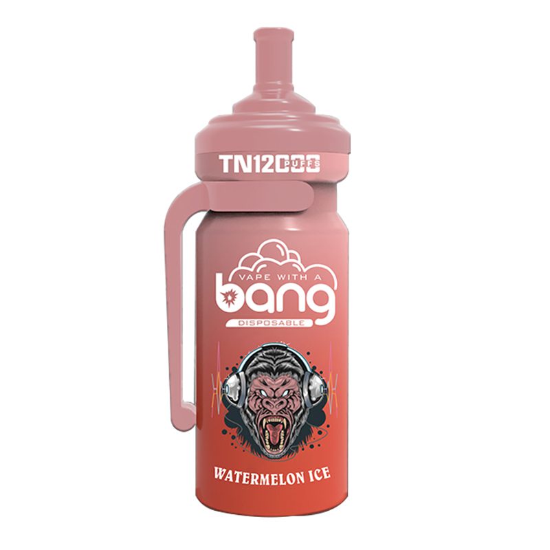 bang NT 12000-7 Vape Bang NT 12000 puff 12K E-cigarette-10PCS/1 box