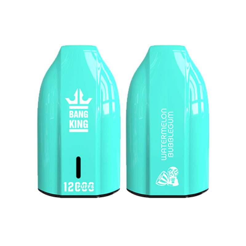 bang king 12000 puff-12 Bang King 12000 | Explore Bang King Vape 12000