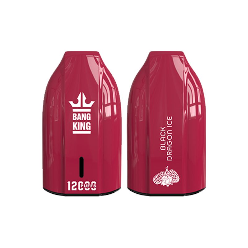 bang king 12000 puff-6 Bang King 12000 | Explore Bang King Vape 12000