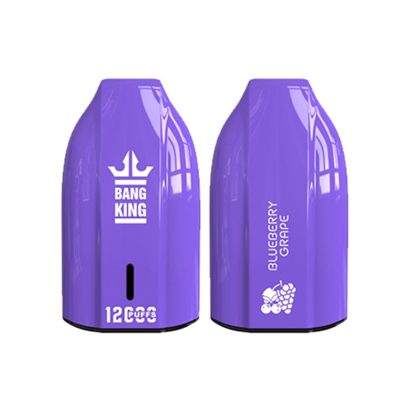 bang king 12000 puff-8 Bang King 12000 | Explore Bang King Vape 12000