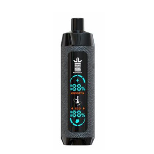 Vape pen Bang King 25000 puff 25k E-cigarette-10PCS/1 box - 图片 3