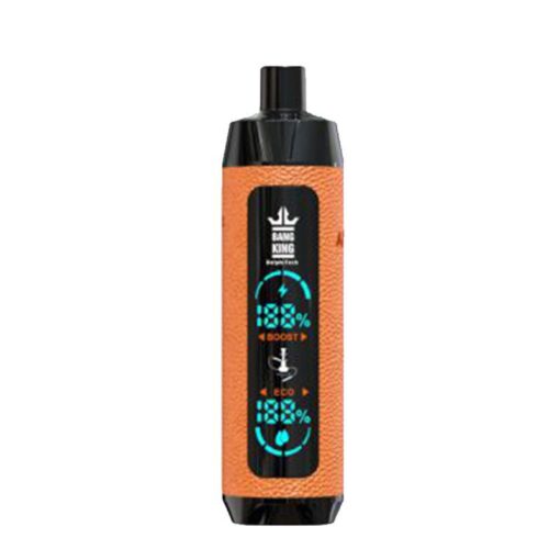 Vape pen Bang King 25000 puff 25k E-cigarette-10PCS/1 box - 图片 9
